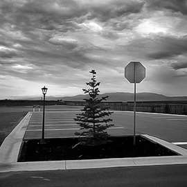 The Land of Enchantment